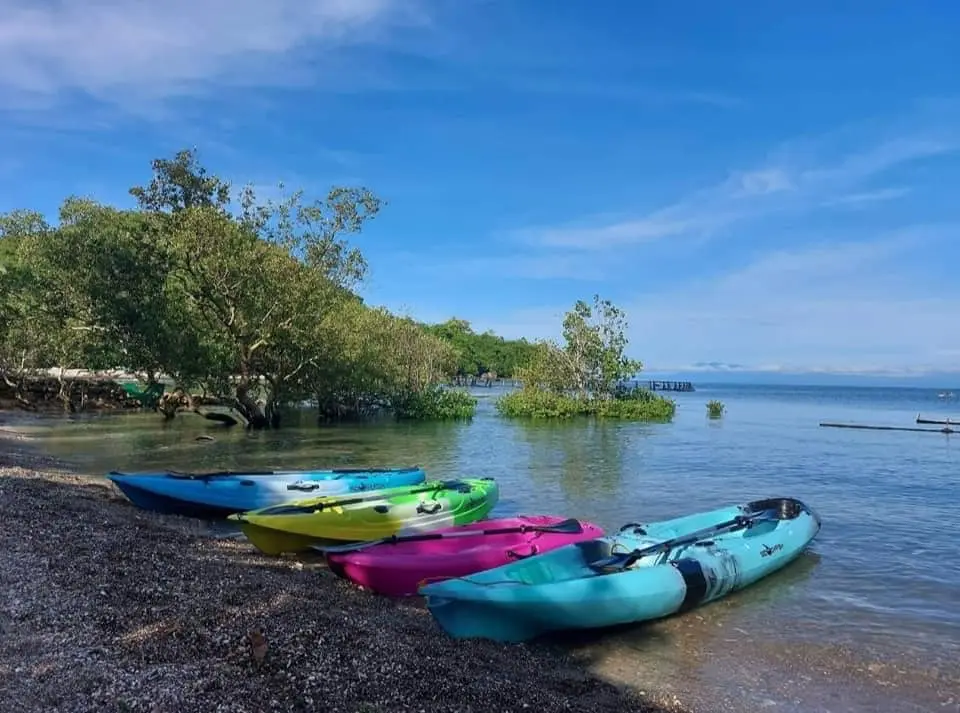 kayaks