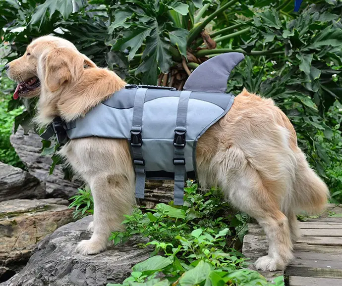shark dog vest
